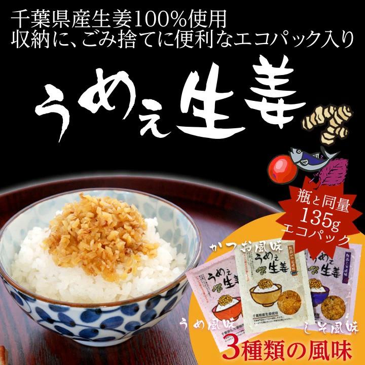 ［訳あり］賞味期限2026年7月14日うめぇ生姜エコパック(鰹しそ梅)135g 3種セット ゆうパケット送料無料 | 