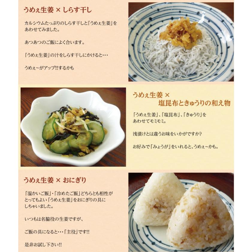 うめしそ工房　3点セット うめぇ生姜エコパック(鰹しそ梅)135g 3種セット ゆうパケット送料無料