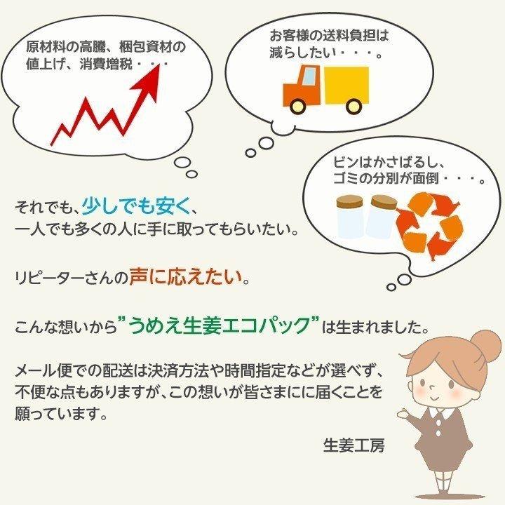 ［訳あり］賞味期限2026年7月14日うめぇ生姜エコパック(鰹しそ梅)135g 3種セット ゆうパケット送料無料 |  | 09
