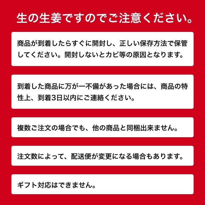種生姜 千葉県産三州生姜10kg : 生姜工房 - 通販 - Yahoo!ショッピング