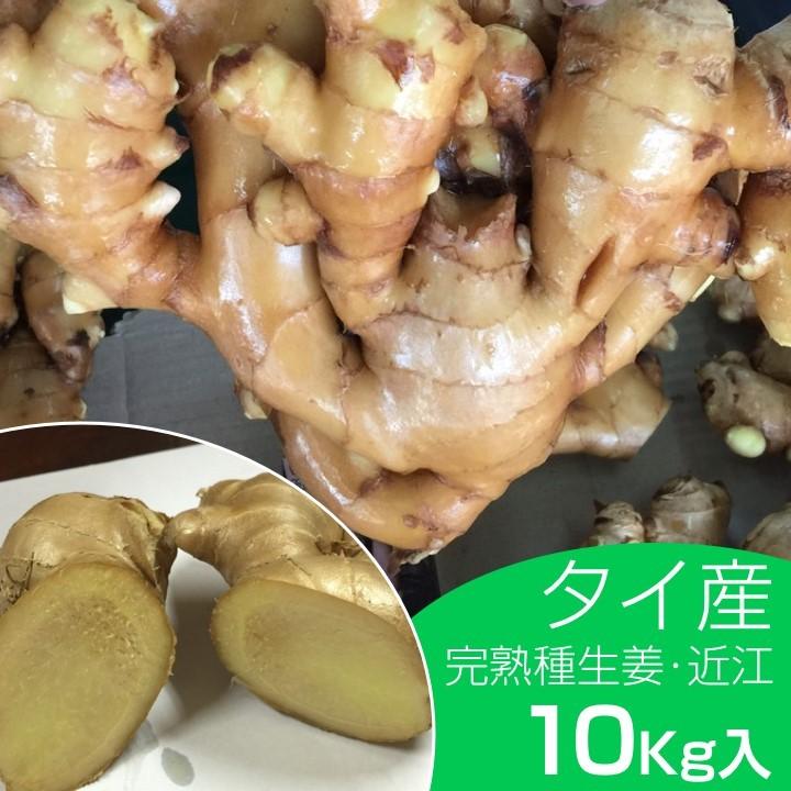 種生姜 タイ産完熟種生姜 (近江生姜白)10kg : 生姜工房 - 通販 種生姜 タイ産完熟種生姜 (近江生姜白)10kg : 生姜工房 - 通販