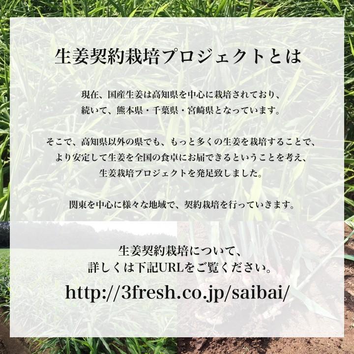 種生姜 タイ産完熟種生姜 (近江生姜白)10kg : 生姜工房 - 通販 種生姜 タイ産完熟種生姜 (近江生姜白)10kg : 生姜工房 - 通販