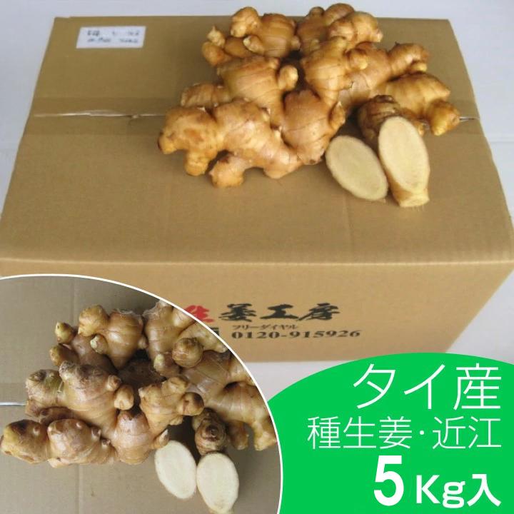 タイ産近江生姜（白）5kg※種生姜としてもご利用いただけます（Yahoo!・生姜工房）