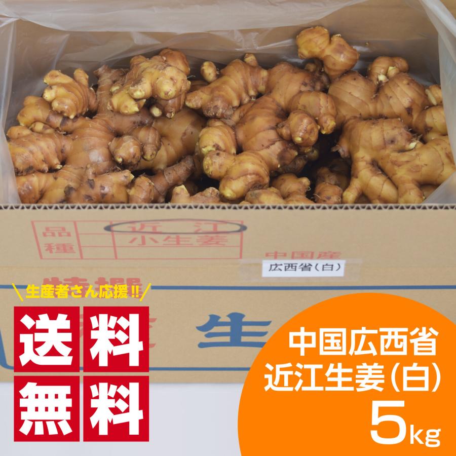 種生姜 中国広西省近江生姜（白）5kg 送料無料（沖縄除く）（Yahoo!・生姜工房）