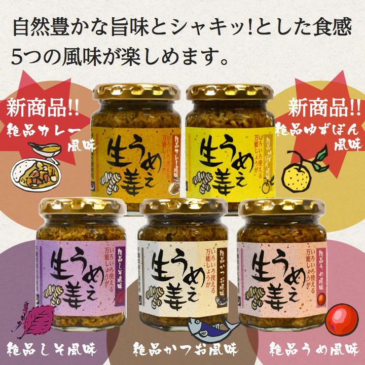 「マーシーズチャンネル」にて紹介されました！うめぇ生姜 135g 1本 |  | 01