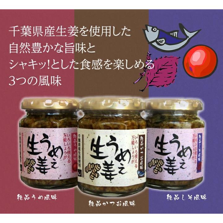 うめぇ生姜135g（鰹・しそ・梅) 3種セット 送料無料(沖縄、離島を除く) |  | 02