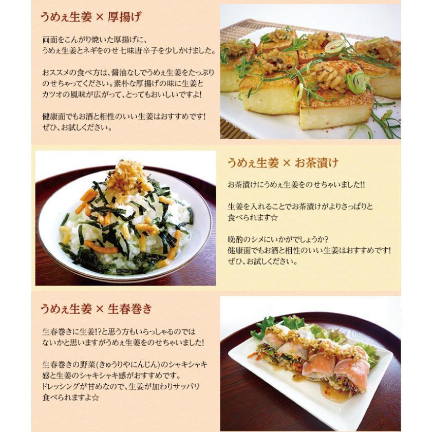 うめぇ生姜エコパック（鰹) 135g 3パック ゆうパケット送料無料 |  | 07