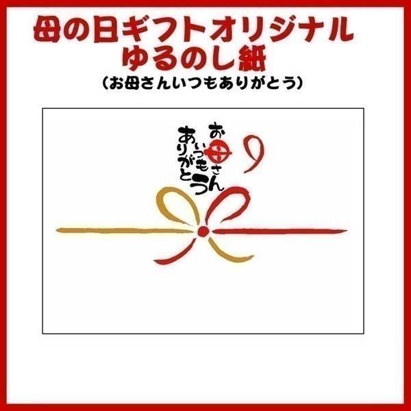 母の日遅れてごめんねギフト お湯を注ぐだけでつくりたての味わいが楽しめる アマノフーズ フリーズドライ おみそ汁お楽しみギフト 発送期間5月13日〜5月24日｜shoujikidou｜04