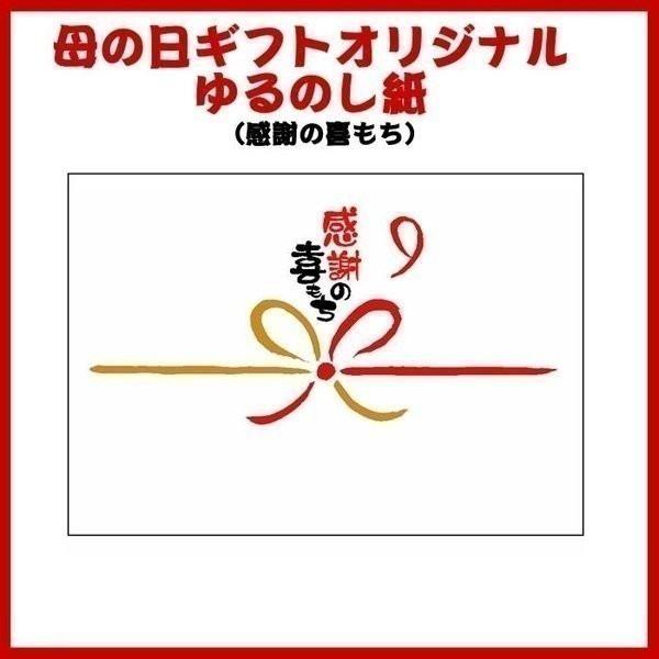 母の日遅れてごめんねギフト お湯を注ぐだけでつくりたての味わいが楽しめる アマノフーズ フリーズドライ おみそ汁お楽しみギフト 発送期間5月13日〜5月24日｜shoujikidou｜05