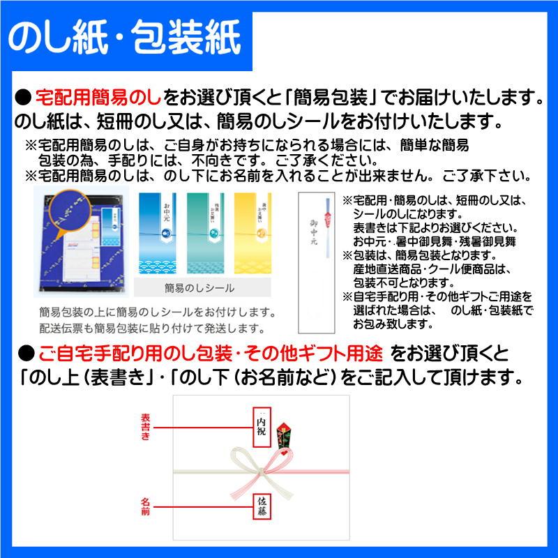 お中元 コーヒー ギフト ネスカフェ プレミアムレギュラーソリュブルコーヒーギフト N30-SOA 送料込み 珈琲 食品 飲料 飲み物｜shoujikidou｜02