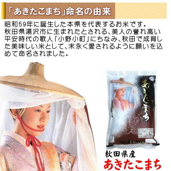 あきたこまち 秋田県産 10kg 令和6年産 白米 甘み 粘り 噛み あきたこまち 秋田県産 10kg 令和6年産 白米 甘み 粘り 噛み