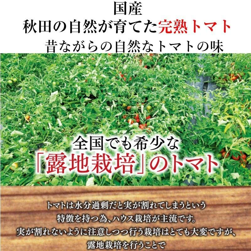 毎日がとまと曜日 トマトを丸ごと絞ったストレート トマトジュース 150g 10袋 秋田県産 とまと 食塩無添加 国産｜shoujikidou｜04