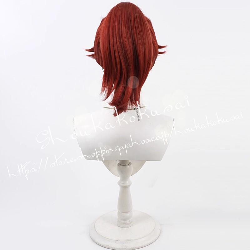 忍たま乱太郎 平滝夜叉丸 コスプレ ウィッグ コスチューム用小物 耐熱