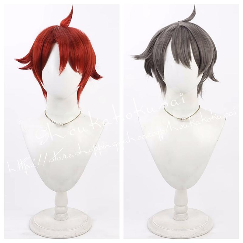 わんだふるぷりきゅあ 兎山悟 とやまさとる コスプレ ウィッグ