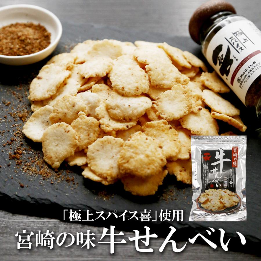 おつまみ 宮崎の味 牛せんべい 極上スパイス喜 70g×2袋 送料無料