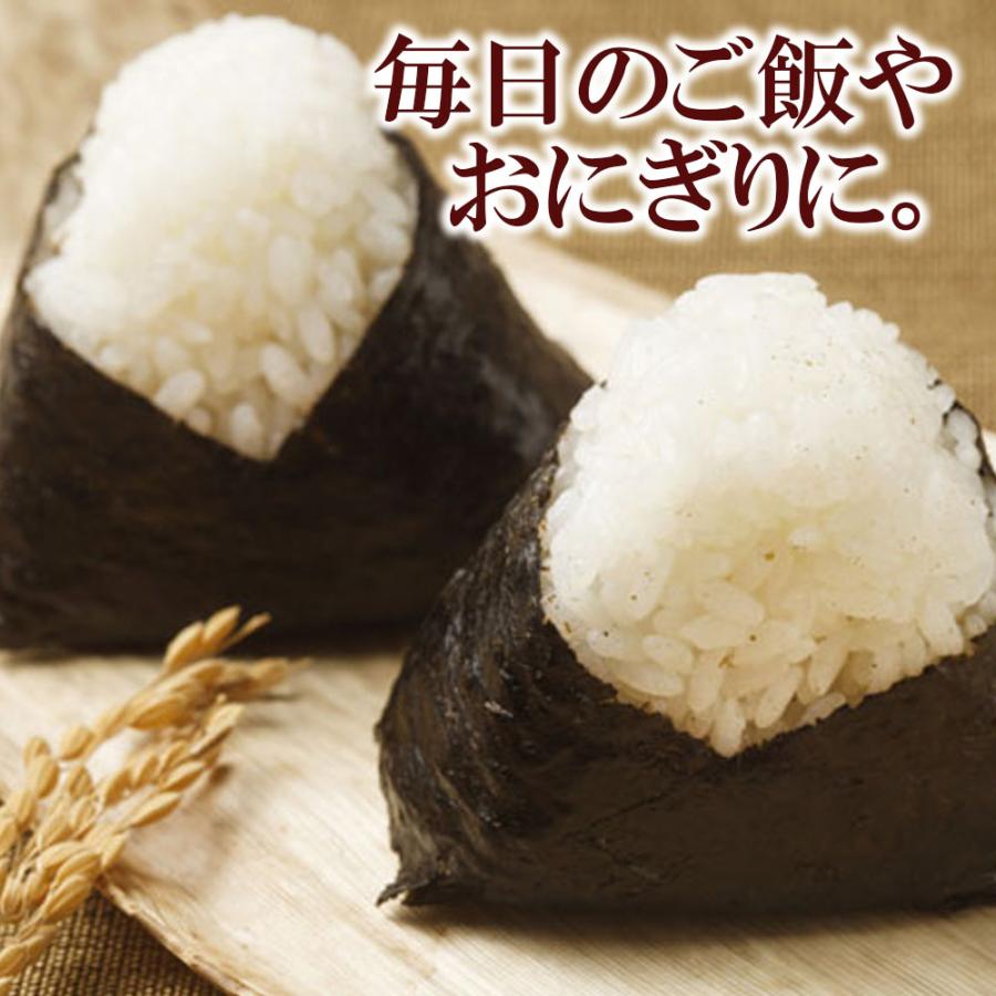 岩のりスティック 8g【800g(90本前後)】送料無料 岩海苔 佃煮 持ち運び 美味しい 小分け 個包装 お弁当 海苔の佃煮｜shoukitei｜04