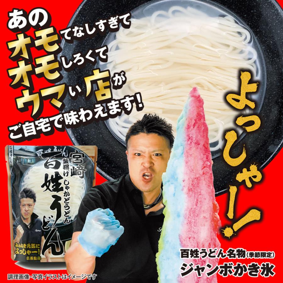 宮崎 釜揚げ しゃかどうどん 百姓うどん 2袋セット 釜揚げうどん お