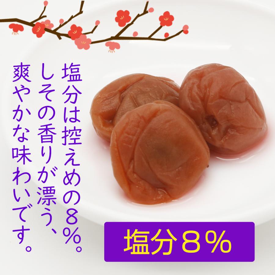 紀州南高梅 200g 送料無料 個包装タイプ はちみつ 塩味 しそ風味 お