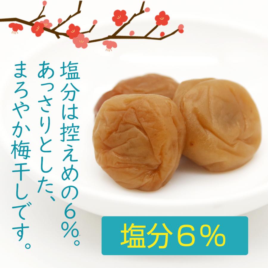 紀州南高梅 200g 送料無料 個包装タイプ はちみつ 塩味 しそ風味 お