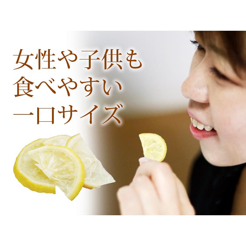 ドライフルーツセット レモン 500g 干し梅 ドライフルーツ フルーツ 皮