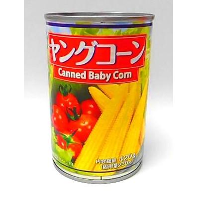 業務用・ヤングコーン・ホール水煮・4号缶・内容総量420g（固形量230g