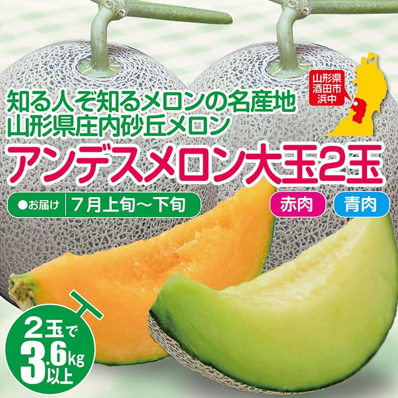 高級アンデスメロン 青肉 とクインシーメロン 赤肉 ２コで3 5kg以上の大玉 発送日は指定できません 化粧箱入 贈答用 ご自宅用にも 1103 庄内いーものや 通販 Yahoo ショッピング