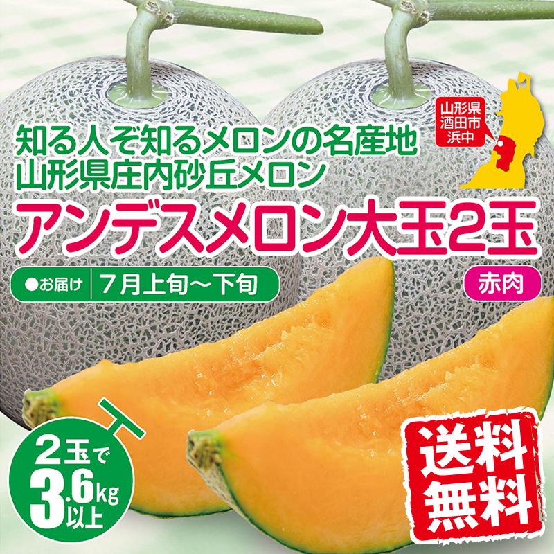 庄内砂丘特産　アンデスメロン　3L4個2箱　贈答用 庄内砂丘特産 アンデスメロン 4L3個2箱 家庭用 - メルカリ