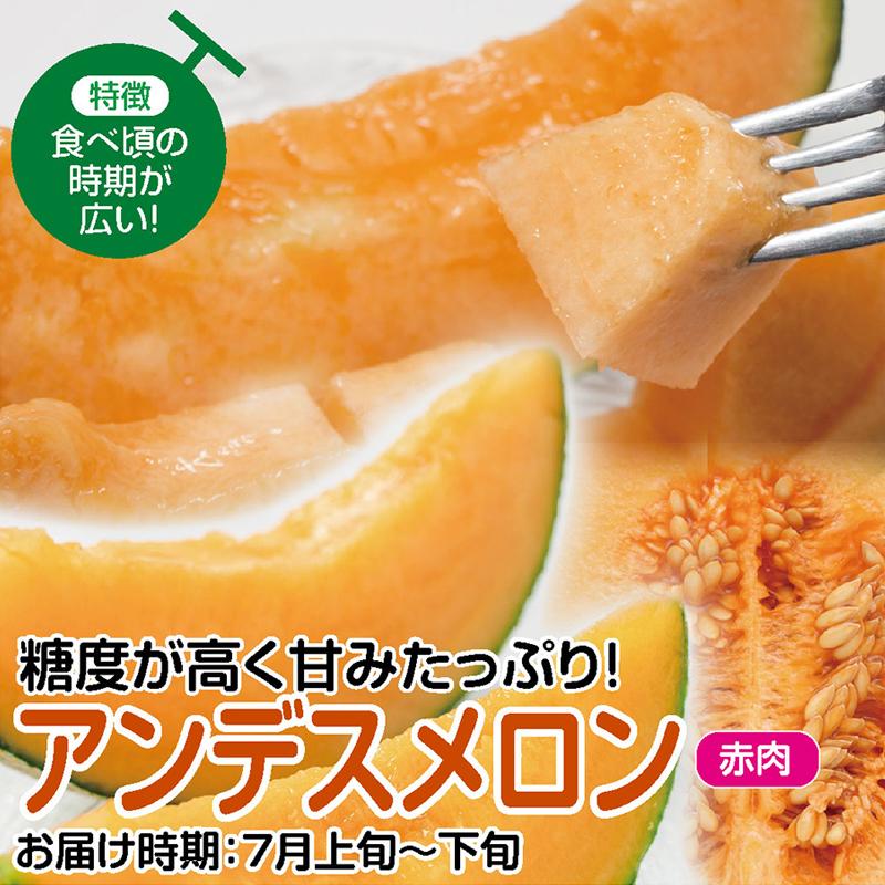 庄内砂丘特産　アンデスメロン　3L4個2箱　贈答用 庄内砂丘特産 アンデスメロン 4L3個2箱 家庭用 - メルカリ