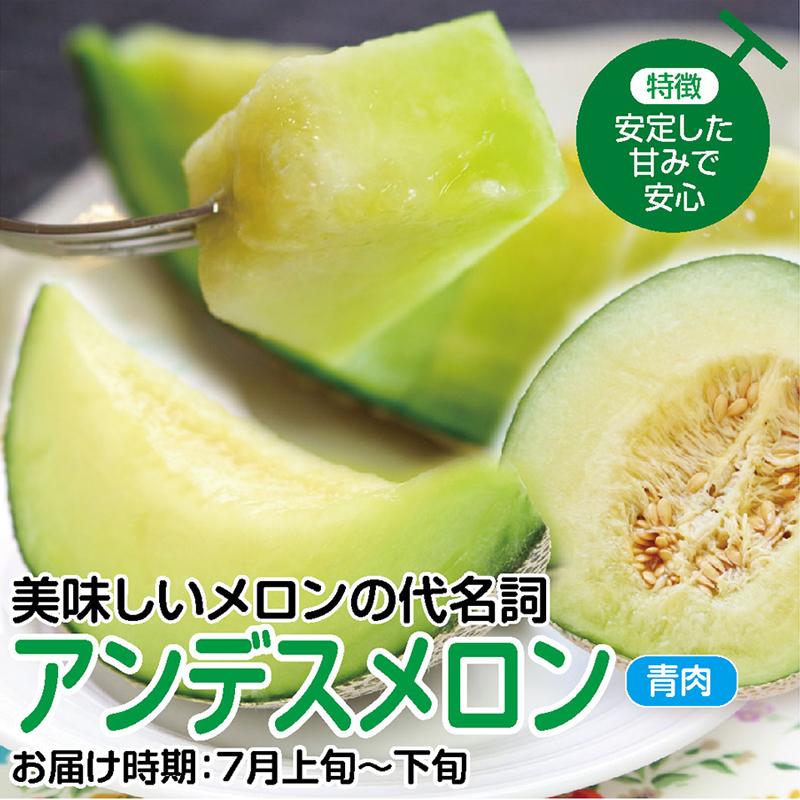 特別価格　青肉赤肉混合8キロ 赤肉＆青肉メロン8kg詰5玉入 | とみたメロンハウス