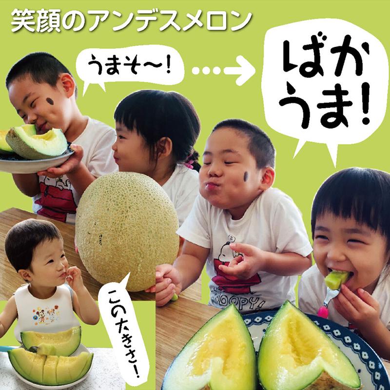 庄内砂丘メロン アンデス（青肉）と（赤肉）大玉2玉で3.6kg以上
