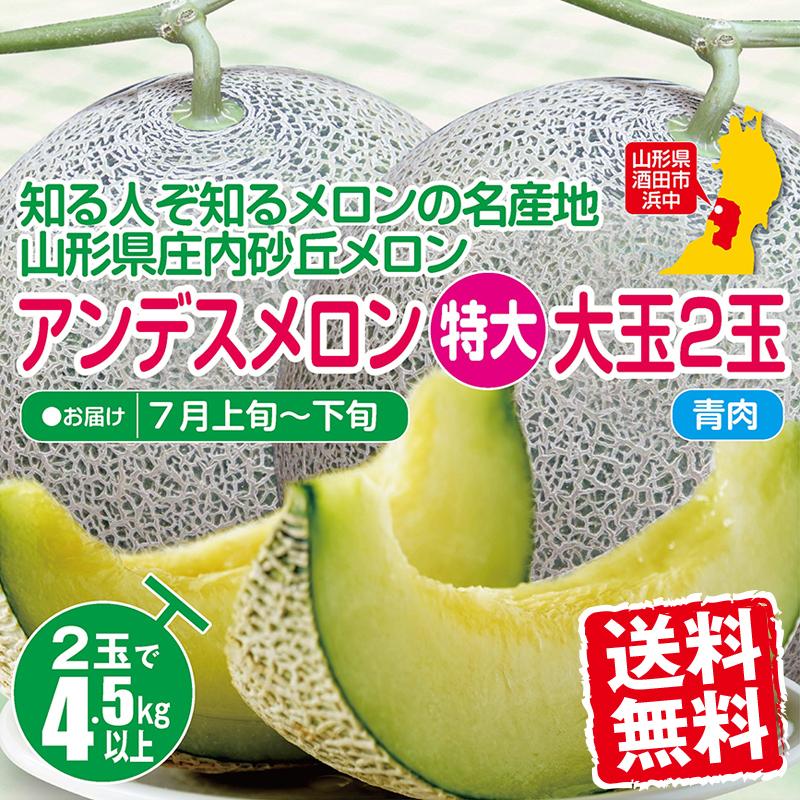 砂丘メロン アンデス（青肉）特大大玉（希少）2玉で約4.5kg つる付