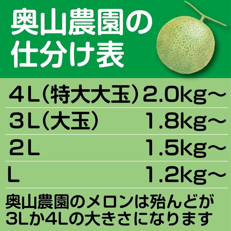 予約販売　７月発送　砂丘メロン アンデス（青肉）特大大玉（希少）２玉で約４.５kg つる付 化粧箱入 お中元・贈答用・ご自宅用にも 送料無料｜shounai-iimonoya｜12