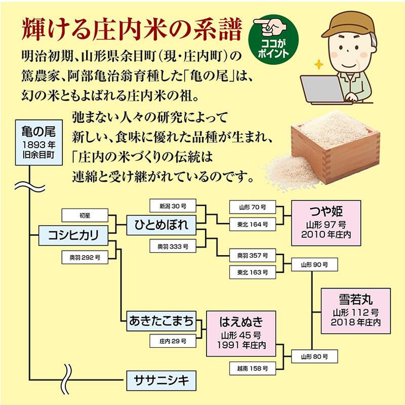 令和５年産 つや姫８kg（２kg×４袋） 山形県の米どころ庄内平野で育った庄内米 送料無料｜shounai-iimonoya｜13