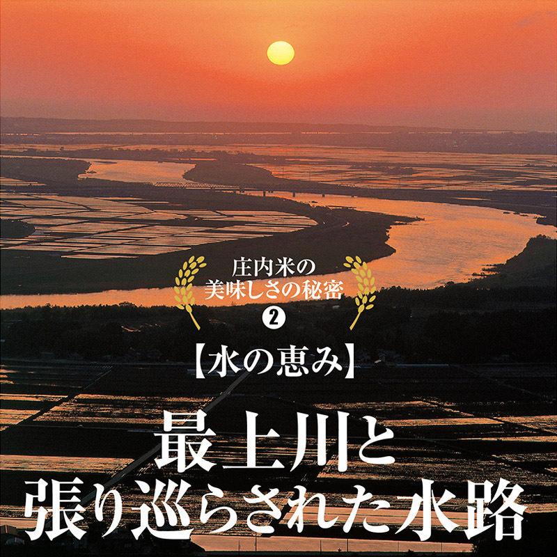 令和５年産 つや姫８kg（２kg×４袋） 山形県の米どころ庄内平野で育った庄内米 送料無料｜shounai-iimonoya｜06