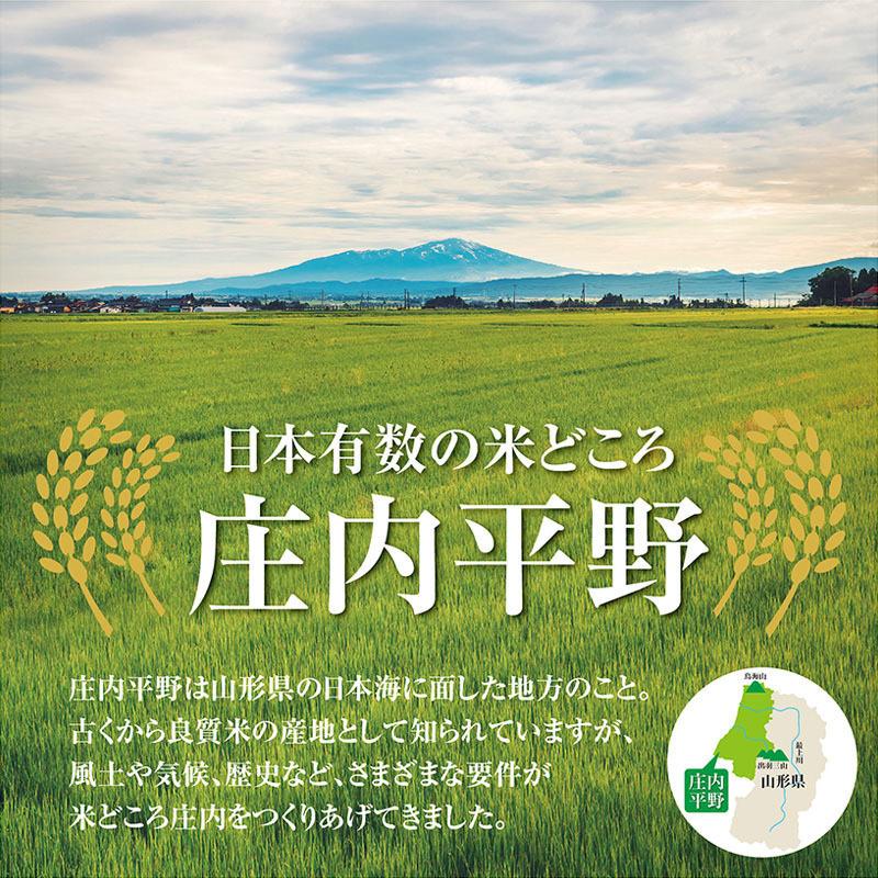 はえぬき 令和7年産 はえぬき15kg （5kg×3袋）山形県の米どころ