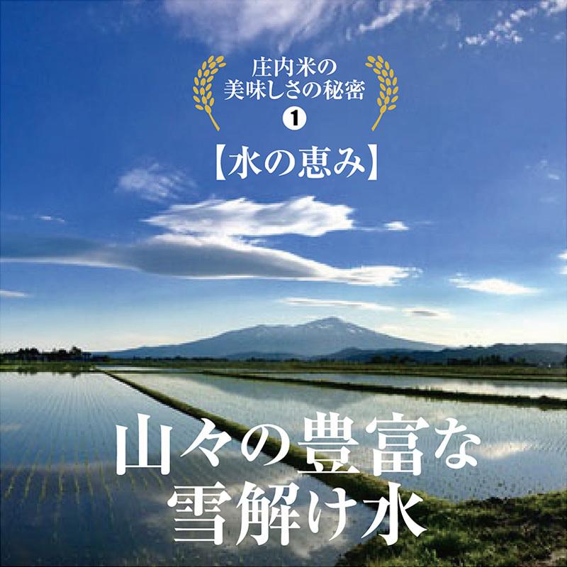 令和５年産 はえぬき１５kg （５kg×３袋）山形県の米どころ庄内平野で育った庄内米 送料無料｜shounai-iimonoya｜04