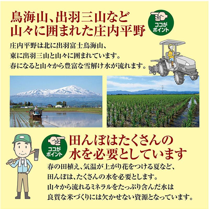 令和５年産 はえぬき１５kg （５kg×３袋）山形県の米どころ庄内平野で育った庄内米 送料無料｜shounai-iimonoya｜05