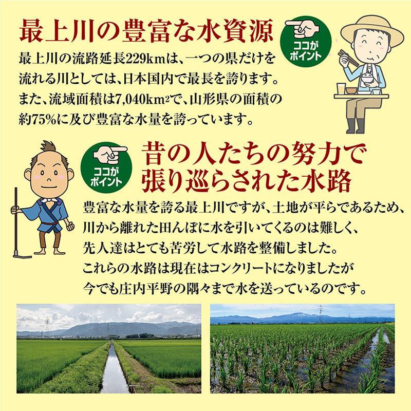 はえぬき 令和7年産 はえぬき15kg （5kg×3袋）山形県の米どころ