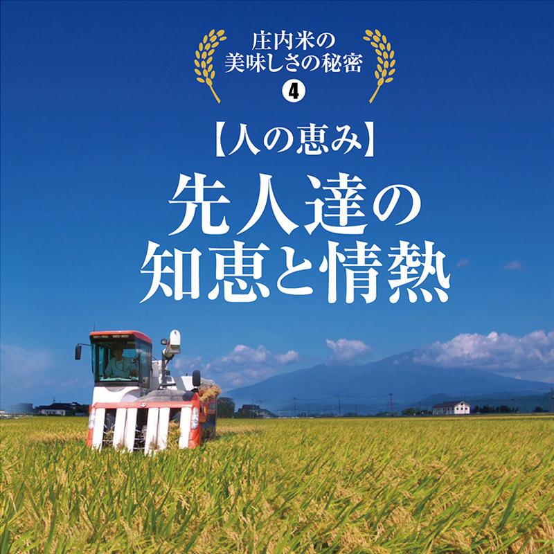 令和５年産 はえぬき１５kg （５kg×３袋）山形県の米どころ庄内平野で育った庄内米 送料無料｜shounai-iimonoya｜10