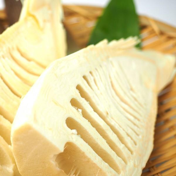 行列ができる名物湯田川孟宗を缶詰にしました 湯田川特産 孟宗