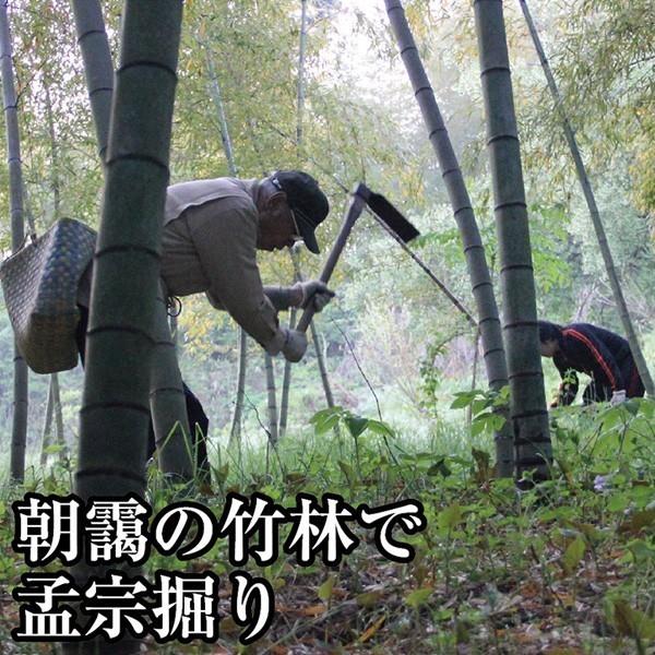 行列ができる名物湯田川孟宗を缶詰にしました 湯田川特産 孟宗