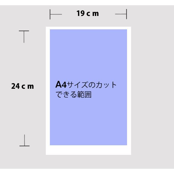 メール便]貴方のデザインで作る]オーダーステンシルA4サイズ : HEAD