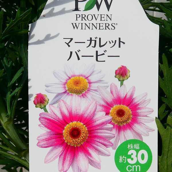 値下げヒラリーメイヤー☆窓辺のピンクの花 82ed0cce347a0941ab609e57e6068c