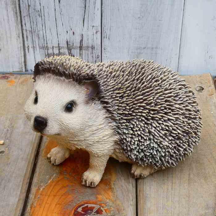 本物そっくりリアルでかわいいハリネズミH20219-1 置物 オブジェ