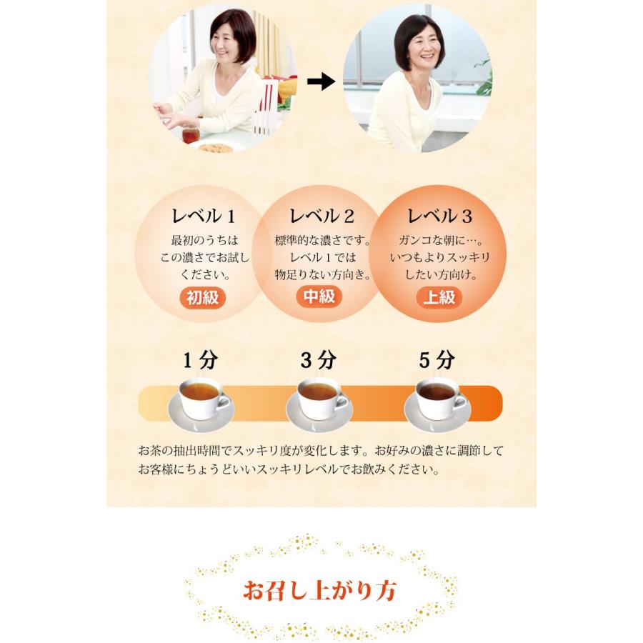 快朝通秘茶 小型 ダイエット ダイエットティー 茶 センナ茶 ウコン 霊