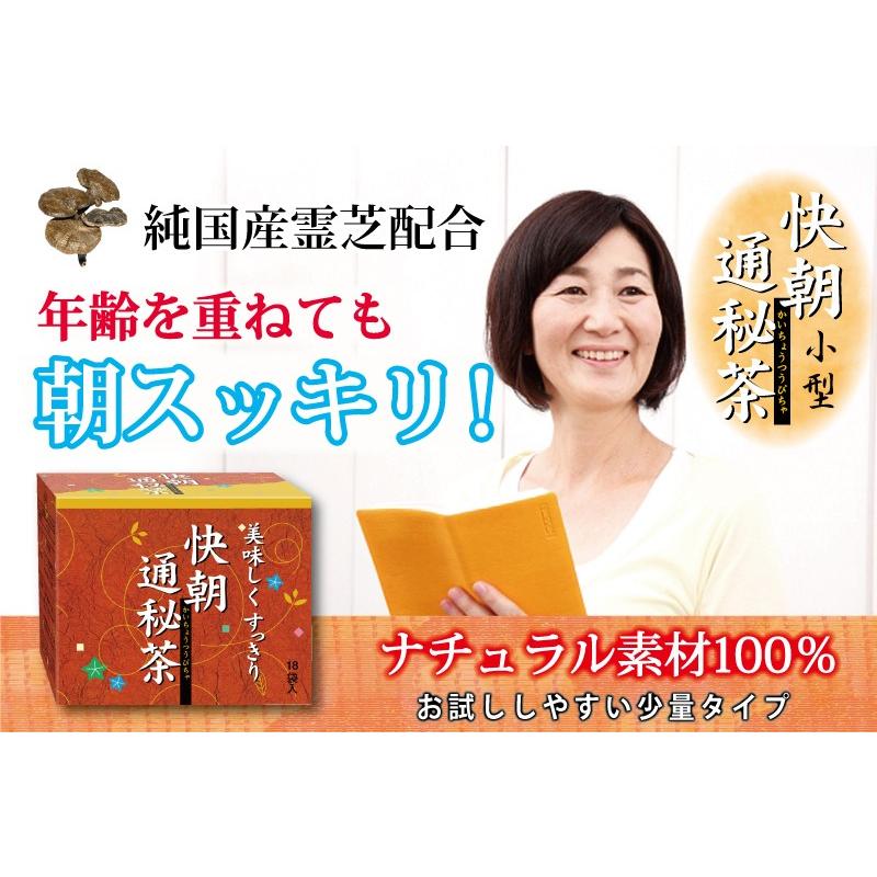 快朝通秘茶 小型 ダイエット ダイエットティー 茶 センナ茶 ウコン 霊