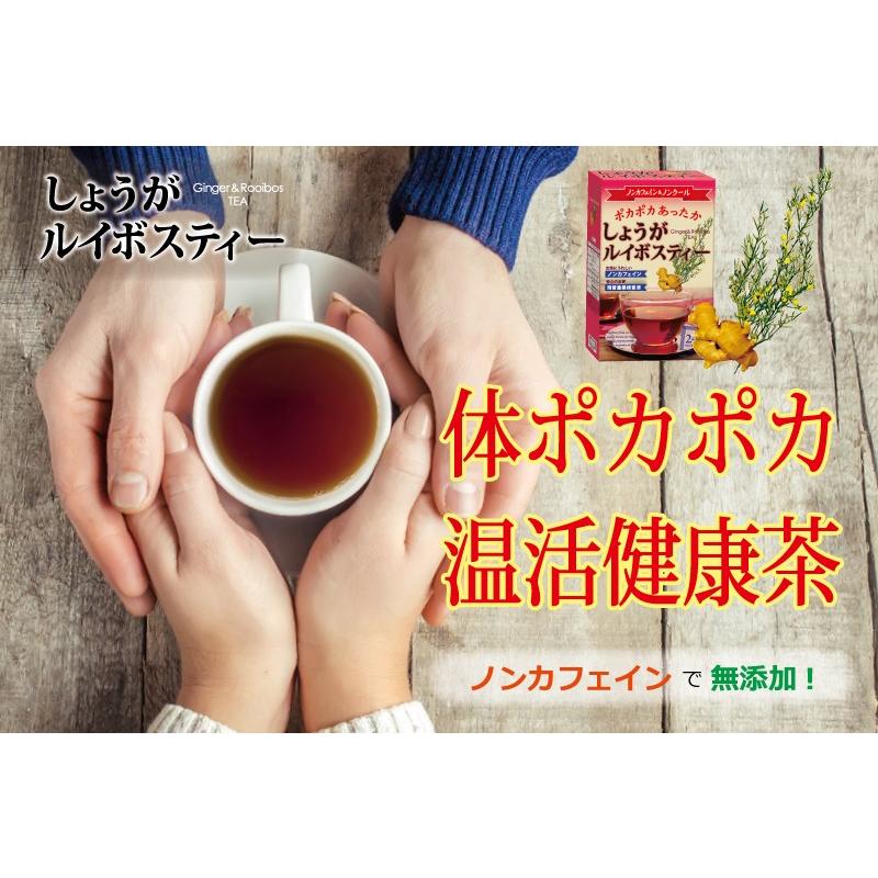 しょうがルイボスティー しょうが 生姜 ヒハツ ルイボスティー
