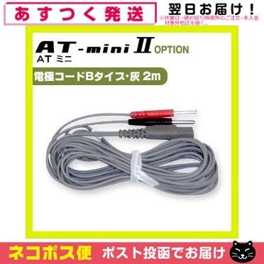 伊藤超短波 ATミニ AT-miniII(AT-mini2)用・オプション品 (8)電極
