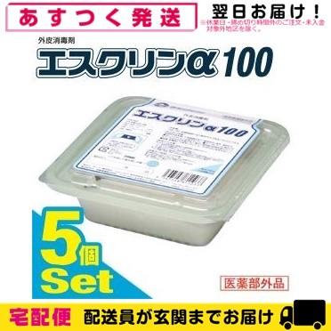 エスクリンα100 (エスクリンアルファ100)(104枚入x5)520枚｜showa69