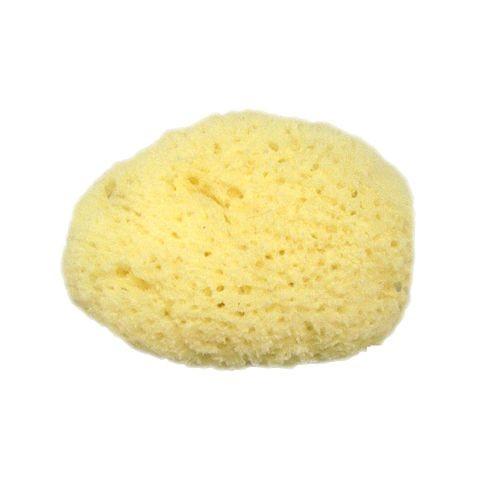 アウトレット送料無料 天然 海綿 スポンジ フェイス 約4 5cm ナチュラル シースポンジ ネコポス発送 当日出荷 Whitesforracialequity Org